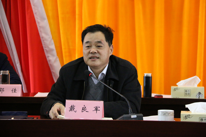 集團(tuán)黨委委員、副總經(jīng)理、總工程師戴良軍發(fā)表講話